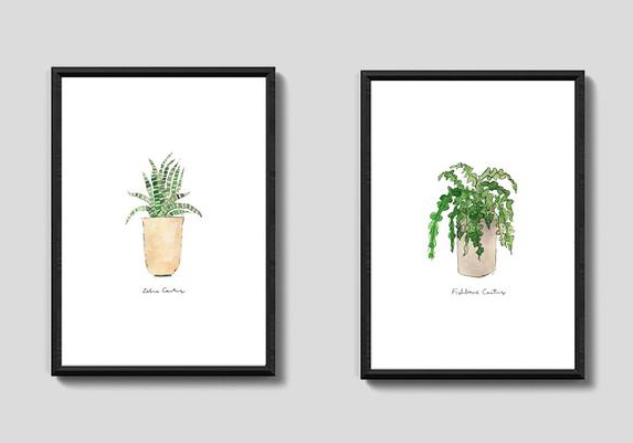 Two Succulents LCT